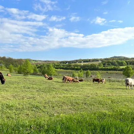 Baladome * Дёргиче